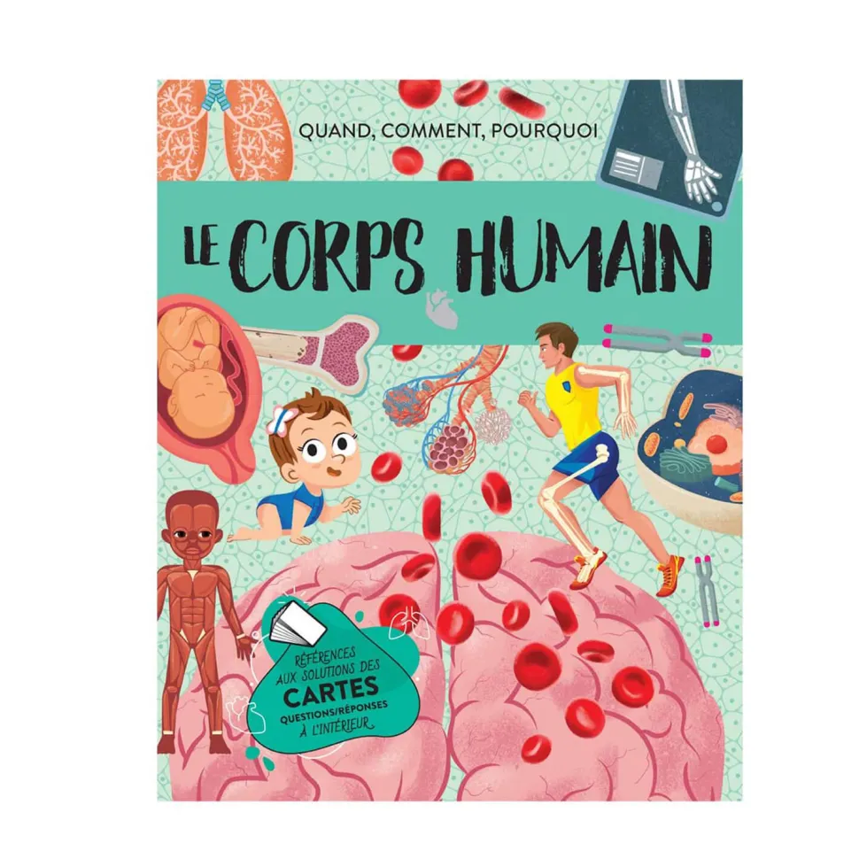 Coffret livre, puzzle 500 pièces et maquette 3D : Mega Atlas Du Corps Humain - Sassi