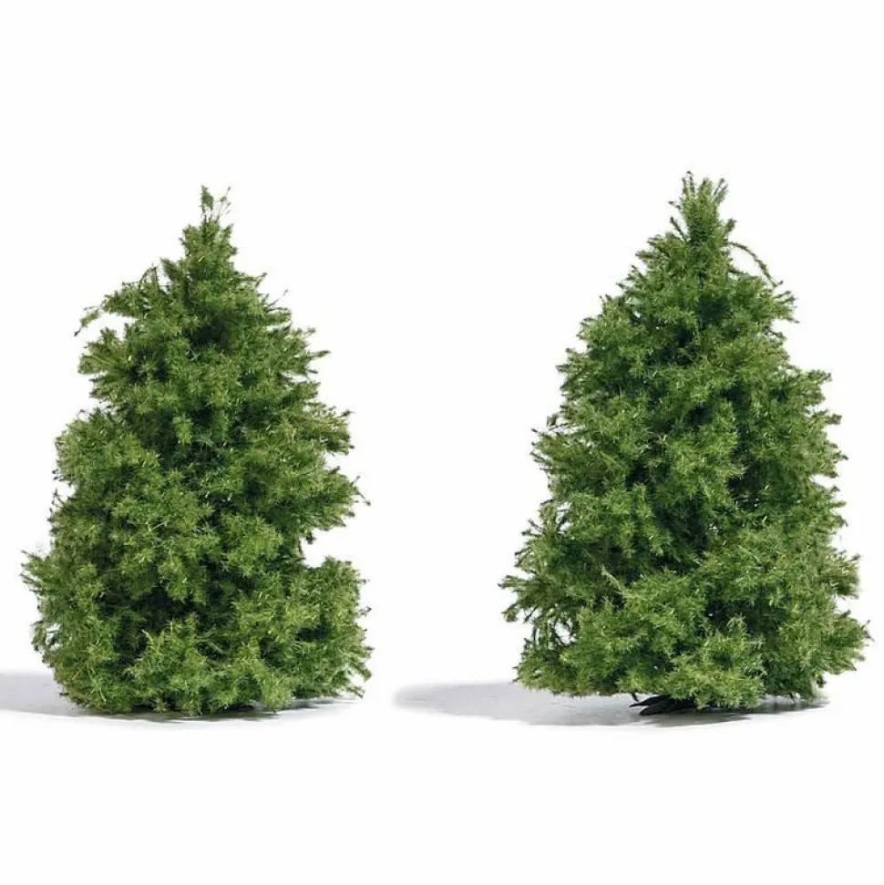 Décor ferroviaire -Mélèzes (2) 60mm - Busch