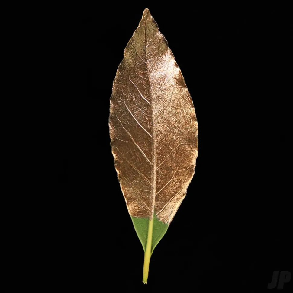 GILD Peinture acrylique émail à dorer Bronze (60ml ml) - Guild Materials