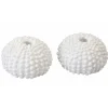 Lot de 2 squelettes d'Oursin blancs décos 4cm en résine - RueDeLaFete