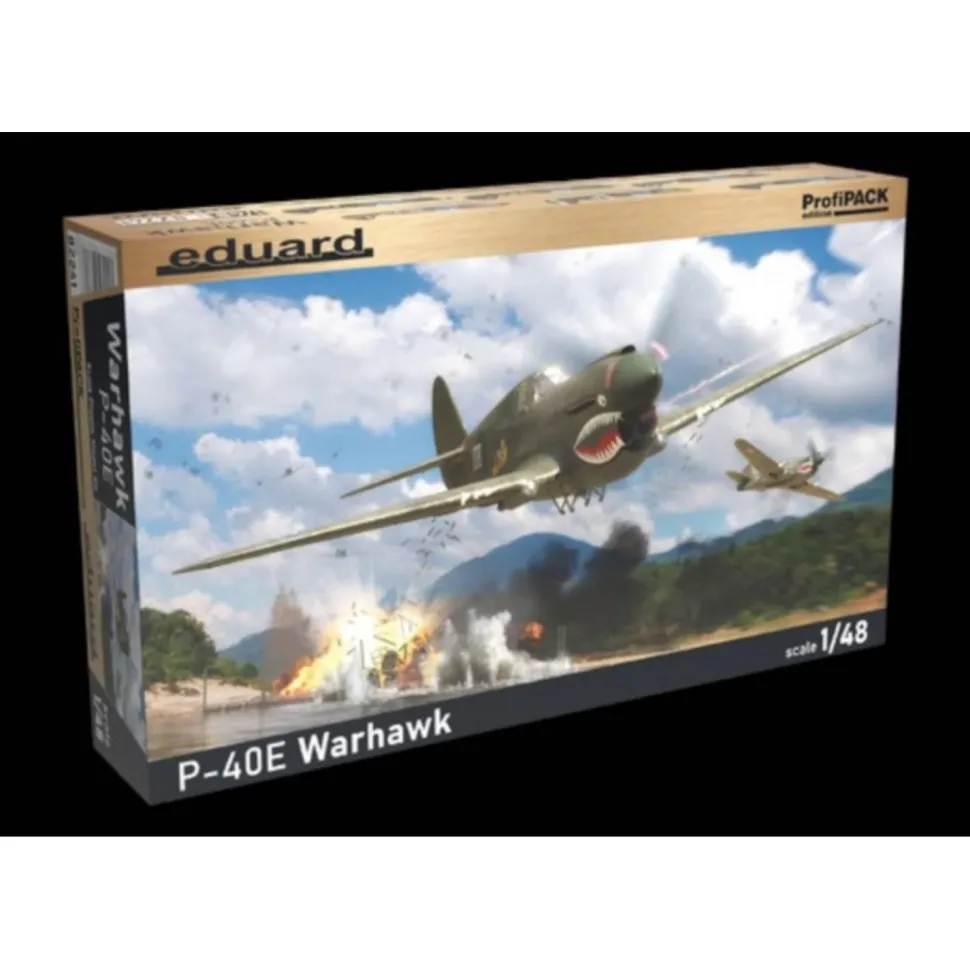 Maquette avion : P-40E Warhawk en 1:48 Profipack - Eduard