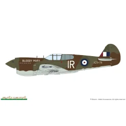Maquette avion :Pacific Star P-40E Warhawk Dual Combo 1/48 - Eduard