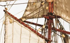 Maquette Bateau : La Goélette Albatros - OCCRE