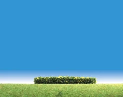 Modélisme : Végétation : 3 haies à fleurs jaunes - Faller