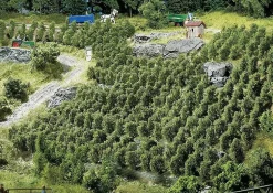 Modélisme : Végétation : 36 pieds de vigne - Faller