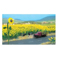Modélisme : Végétation - Champ de tournesols - Busch