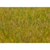 Modélisme : Végétation : Fibres de flocage premium, Prairie, vert clair - Faller