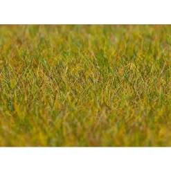 Modélisme : Végétation : Fibres de flocage premium, Prairie, vert clair - Faller