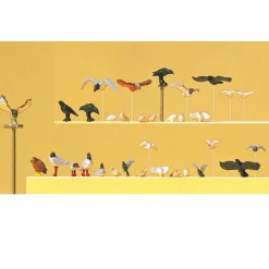 Modélisme HO : Figurines : Set oiseaux - Preiser