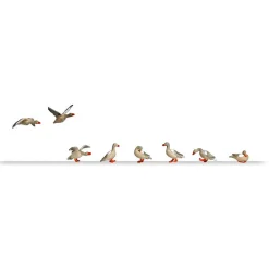 Modélisme HO : Oies sauvages - Busch