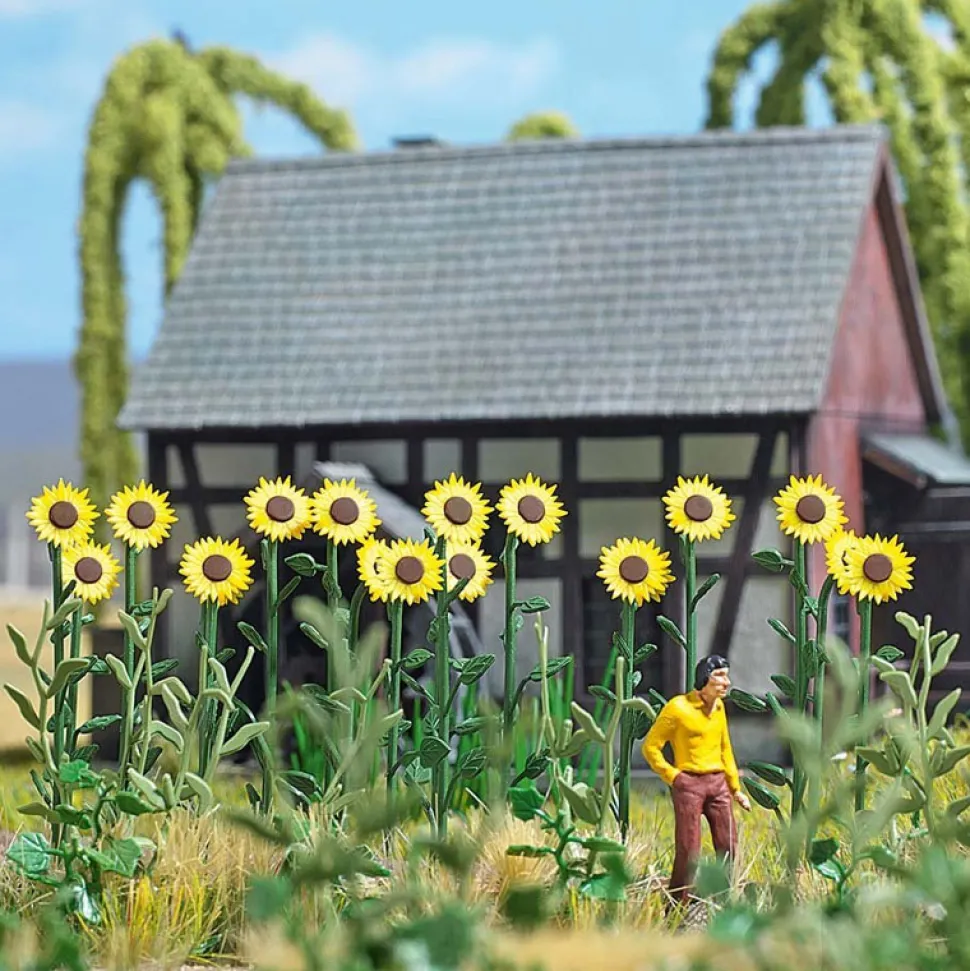 Modélisme HO : Tournesols Géants - Busch