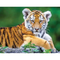 Puzzle 150 pièces : Bébé Tigre - Nathan