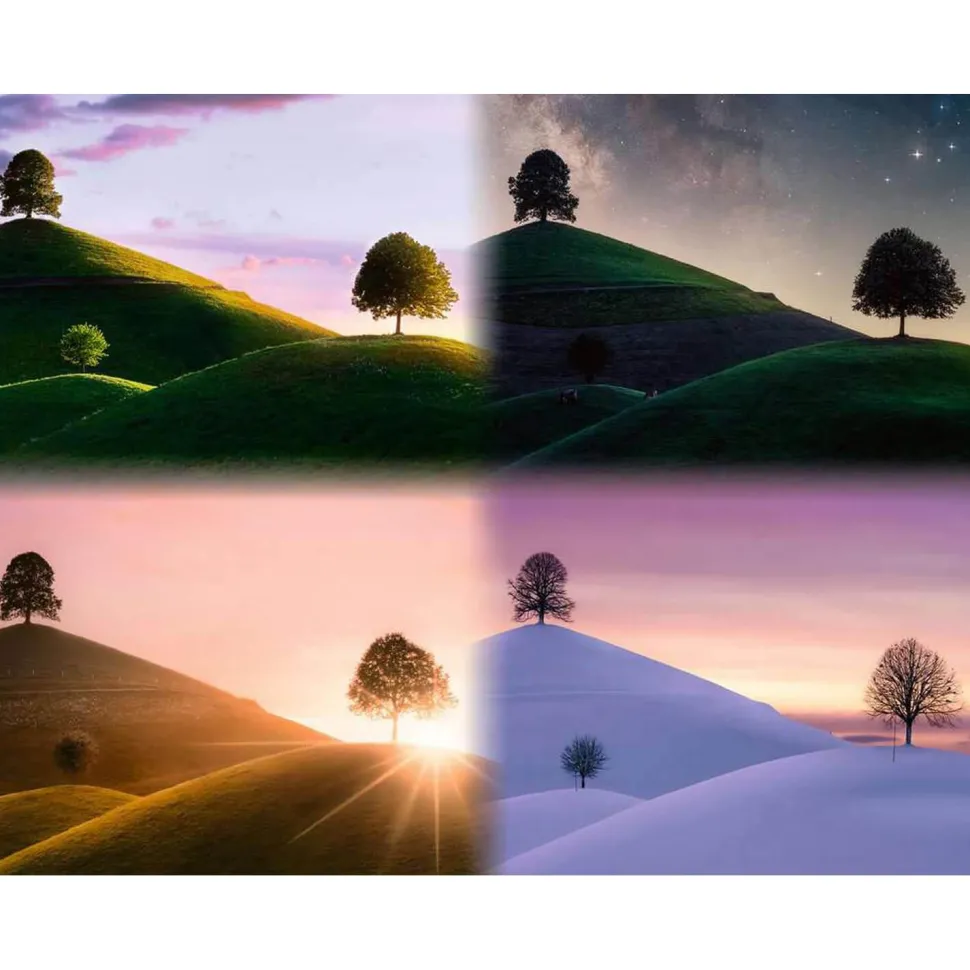 Puzzle 2000 pièces : Les saisons - Ravensburger