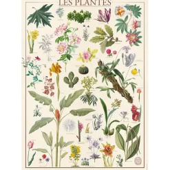 Puzzle 1500 pièces : Muséum National D'Histoire Naturelle : Les Fleurs - Nathan