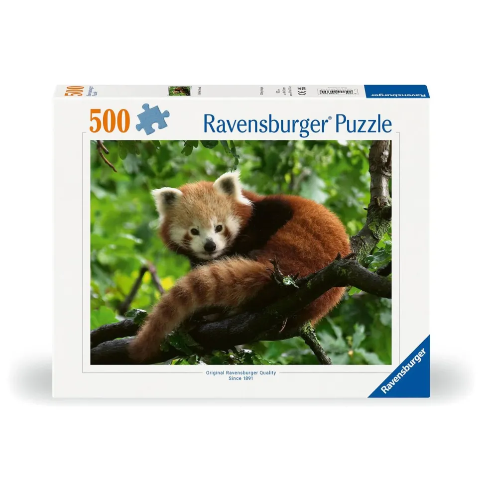 Puzzle 500 pièces : Adorable Panda roux - Ravensburger