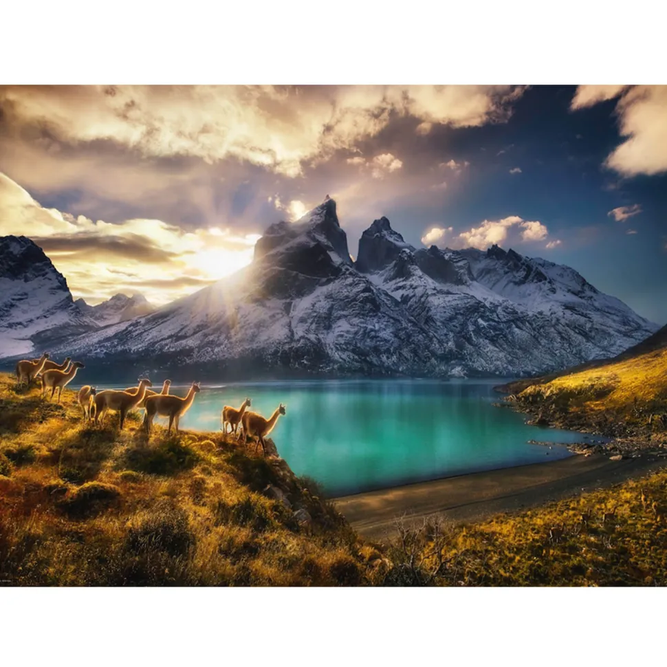 Puzzle 1000 pièces - Alexander von Humboldt : Guacanos - Heye