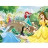 Puzzle 60 pièces : Après-midi entre Princesses Disney - Nathan