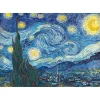 Puzzle 1000 pièces : Art Collection - La nuit étoilée, Van Gogh - Trefl