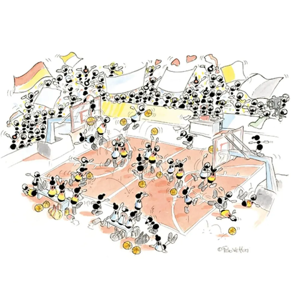 Puzzle 540 pièces : Basket - Akena