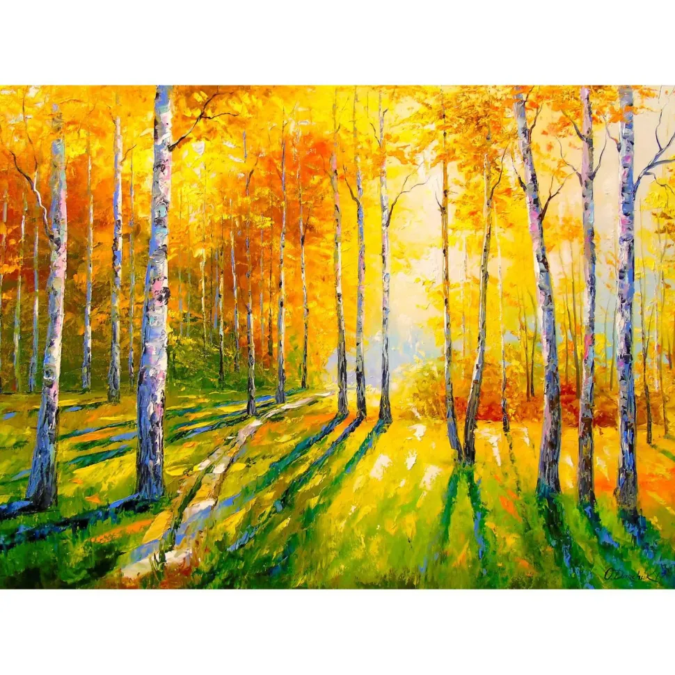 Puzzle 1000 Pièces : Bosquet de bouleaux - EnjoyPuzzle