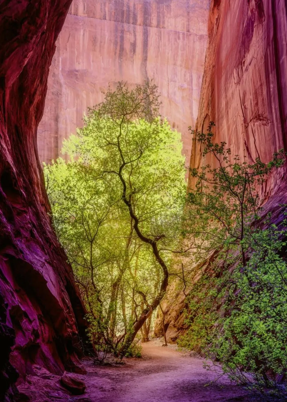 Puzzle 1000 pièces : Canyon chantant - Heye