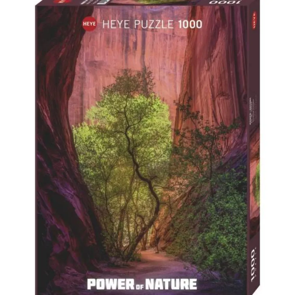 Puzzle 1000 pièces : Canyon chantant - Heye