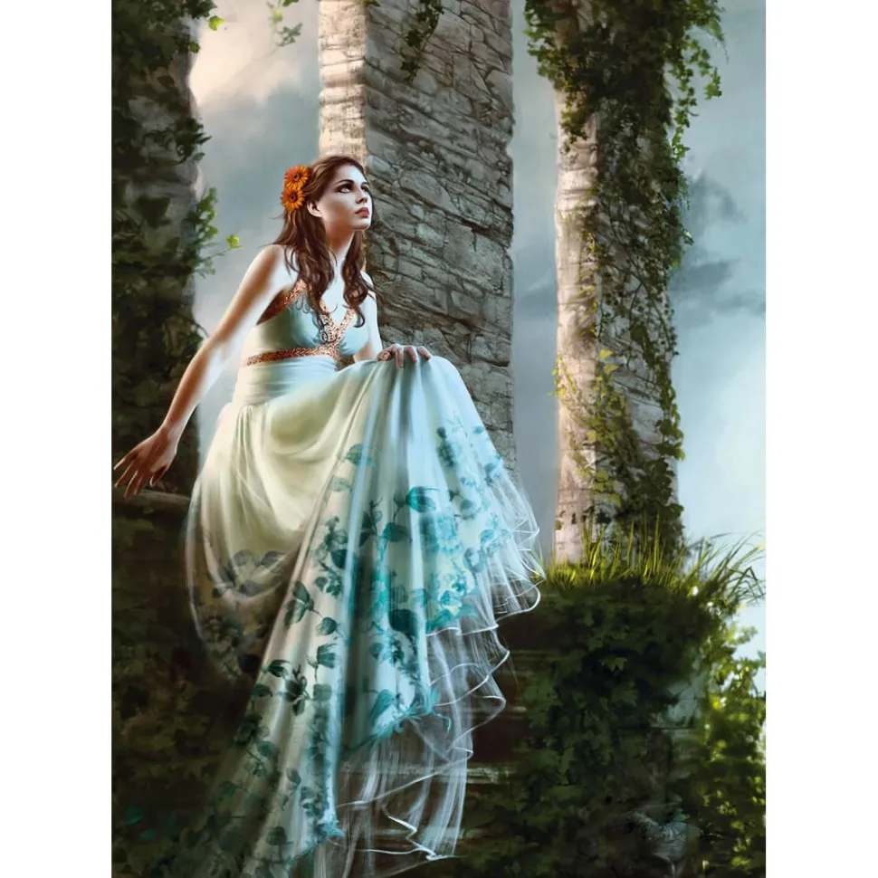 Puzzle 1000 pièces : Ce que je vois - Ks Games