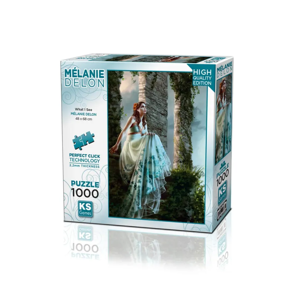 Puzzle 1000 pièces : Ce que je vois - Ks Games