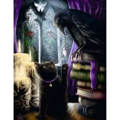 Puzzle 500 pièces : Chat noir et corbeau - Ravensburger