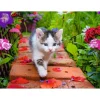 Puzzle 500 pièces : Chaton au jardin - Nathan