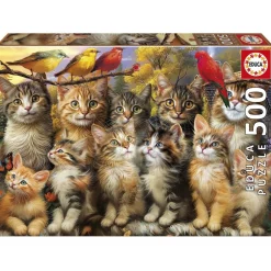Puzzle 500 pièces : CHATONS ET OISEAUX - Educa