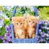Puzzle 70 pièces : Chatons Roux - Castorland