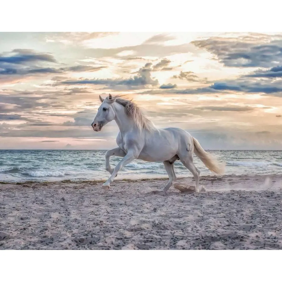 Puzzle 500 pièces : Cheval sur la plage - Ravensburger
