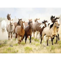 Puzzle 1000 pièces : Chevauchée du désert - Nathan