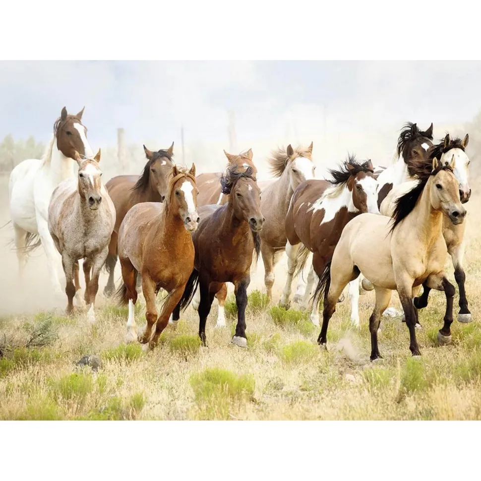 Puzzle 1000 pièces : Chevauchée du désert - Nathan