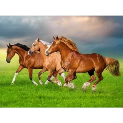 Puzzle 500 pièces : Chevaux dans la ruée printanière - Castorland