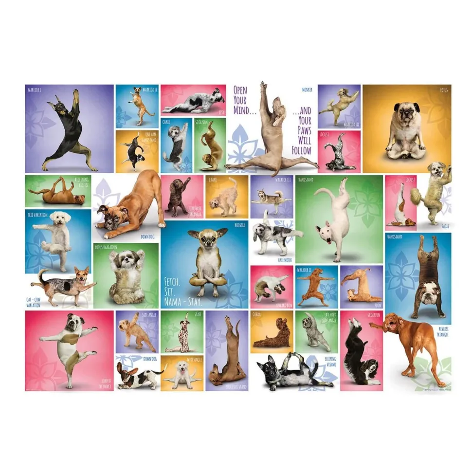 Puzzle 1000 pièces : Chiens de yoga - Eurographics