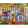 Puzzle 1000 pièces : Chiots à vélo - Vermont Christmas Company