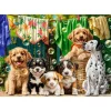 Puzzle 500 pièces : Chiots, lessive et pitreries d'oiseaux - Castorland