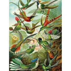 Puzzle 1500 pièces : Colibris - Ks Games