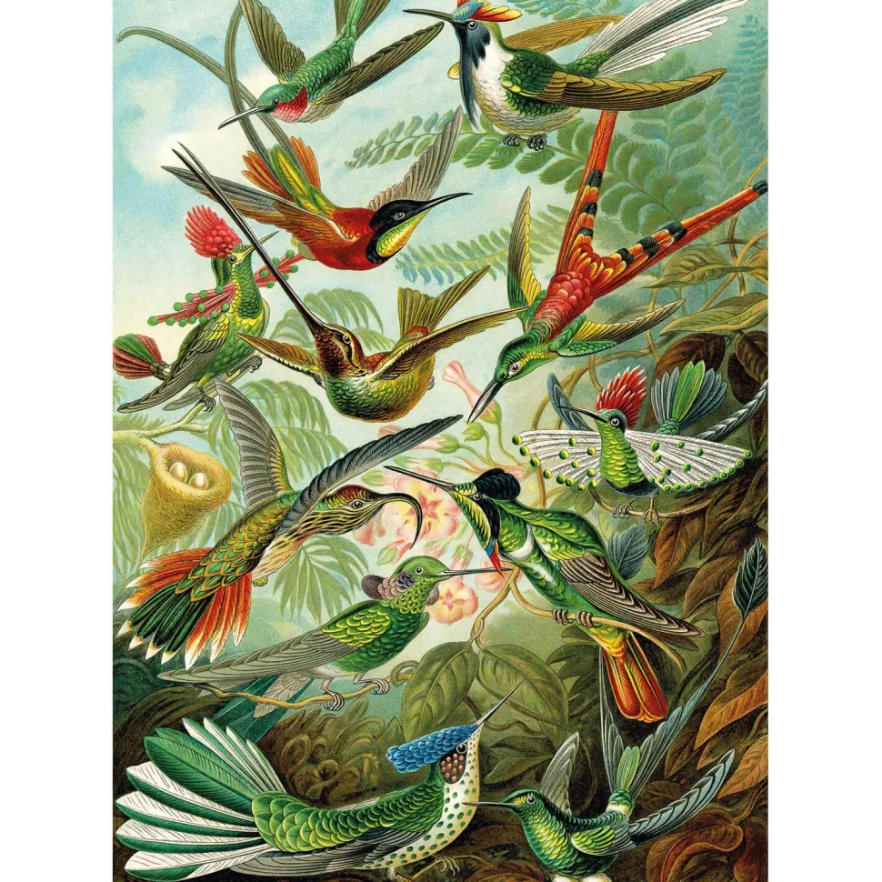 Puzzle 1500 pièces : Colibris - Ks Games