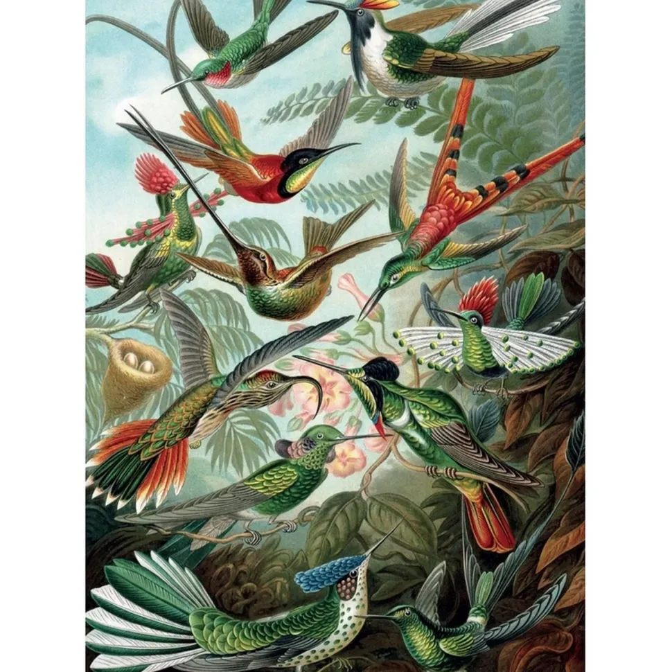 Puzzle 1000 pièces : COLIBRIS -Haeckel - Piatnik