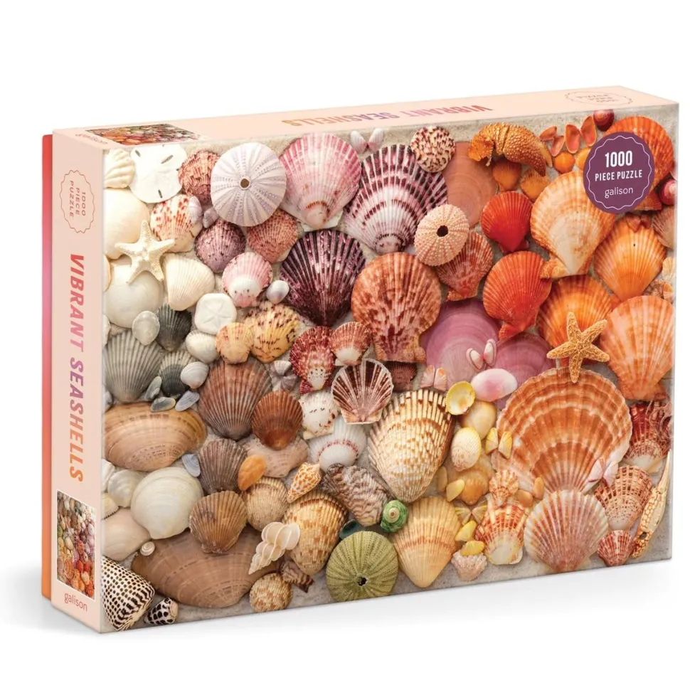 Puzzle 1000 pièces : Coquillages sous le soleil - Galison