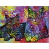 Puzzle 1000 pièces : Devoted 2 cats - Heye