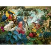 Puzzle 1000 pièces : Diversité des oiseaux - Heye