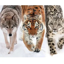 Puzzle 2000 pièces : en terre sauvage - Nathan