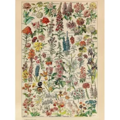 Puzzle 1000 pièces : Fleurs - Millot - Piatnik