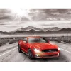 Puzzle 1000 pièces : Ford Mustang, 50 ans de puissance - Eurographics