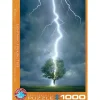 Puzzle 1000 pièces : Foudre sur un arbre - Eurographics