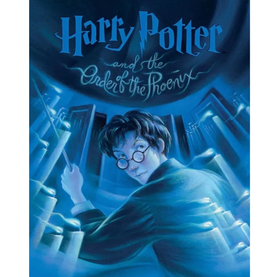 Puzzle 1000 pièces : Harry Potter : Ordre du Phénix - New York Puzzle Company